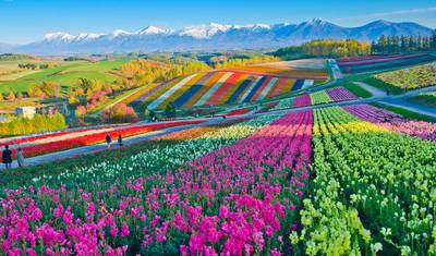 Japan - by Train From North to South — 3