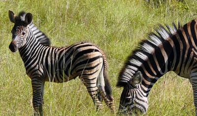 Magical South Africa — 4