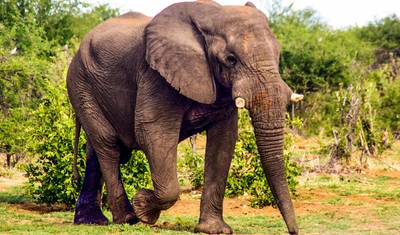 Discover Namibia — 3
