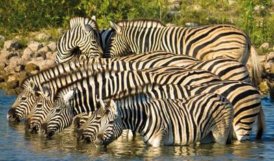 Discover Namibia — 4