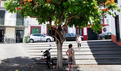 Caminhada na Madeira — 5