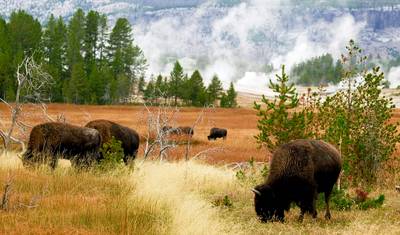 USA ─ Panorama From west to East — 3