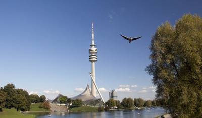 7-dniowa podróż pociągiem z Monachium do Wiednia — 2