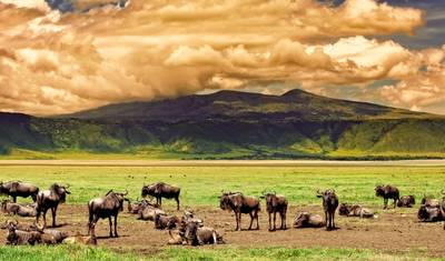 4-Day Serengeti Ngorongoro and Tarangire Camping Marvel — 2