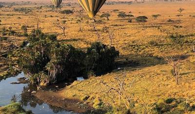 5-Day Tarangire, Serengeti, & Ngorongoro Camping Marvel — 5
