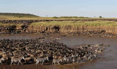 4-dniowy Prywatny Kemping Serengeti Ngorongoro & Tarangire — 5
