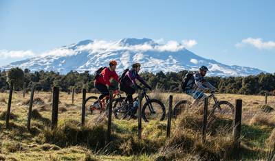 Classic | New Zealand Highlights Tour — 2