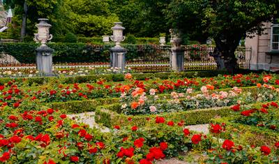 سالزبورغ، فيينا ووادي الدانوب - 8 أيام — 5