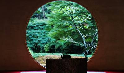 8Days Japan's Kanto In-depth Tour(private guide & driver） — 2