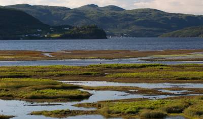 Newfoundland & Labrador's Battle Harbour & Northern Peninsula — 4