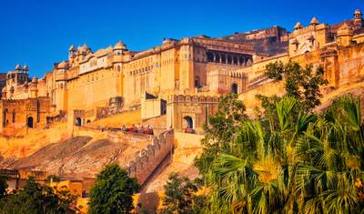 5 Nights 6 Days Golden Triangle Tour With Tigers! — 4