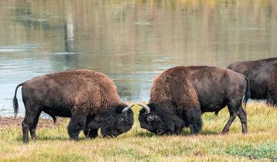 Mount Rushmore & South Dakota's Black Hills - 6 days — 4