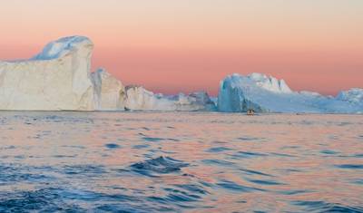 Greenland Express i obserwacja wielorybów - 5 dni — 3
