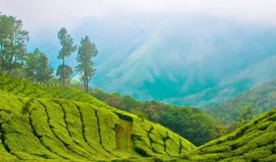 Best of Kerala 6 Nights / 7 Days — 3