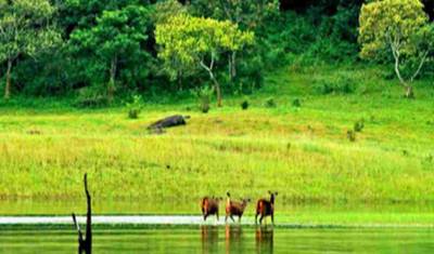 Best of Kerala 6 Nights / 7 Days — 4