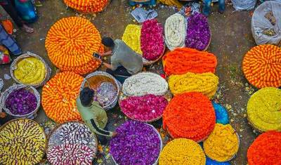 Kolkata Encantadora: Uma Jornada de 4 Dias Pela História, Cultura e Charme — 5
