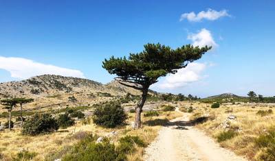 Croatian Islands Walking Holiday | From Split to Dubrovnik — 3
