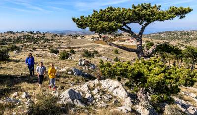Croatian Islands Walking Holiday | From Split to Dubrovnik — 5