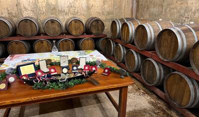 Semana do Vinho na Grécia - Mar Jônico — 4