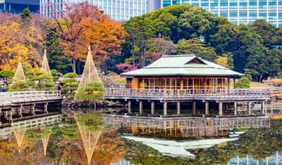 6日間 日本冒険クラシック（プライベートガイド＆ドライバー付き）- Umetravel — 4