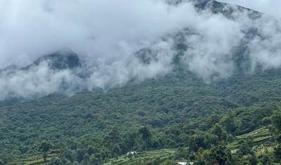 3 Dias de Rastreamento de Gorilas no Parque Nacional de Mgahinga, Via Ruanda — 2