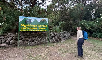 3 Dias de Rastreamento de Gorilas no Parque Nacional de Mgahinga, Via Ruanda — 3