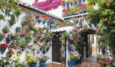 Da Costa do Sol: 5 Dias Andaluzia e Madrid — 4
