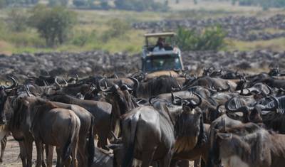 3-Day Fly in &out Zanzibar to Serengeti & Ngorongoro — 4