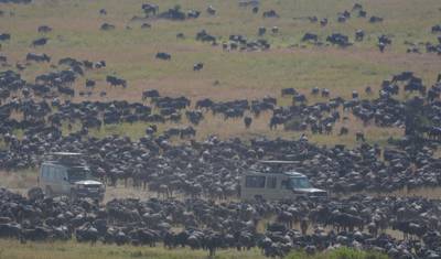 3-Day Fly in &out Zanzibar to Serengeti & Ngorongoro — 5