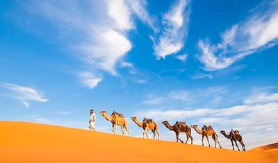 Tour Privado de 15 Dias pelo Marrocos Imperial e Deserto saindo de Tânger — 4