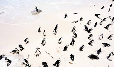 África do Sul Vibrante: Natureza, Vida Selvagem e Aventura — 4