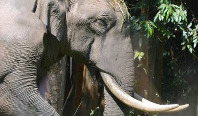 Explore Kerala - God's Own Country — 4