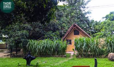 Thori Jungle Safari — 5