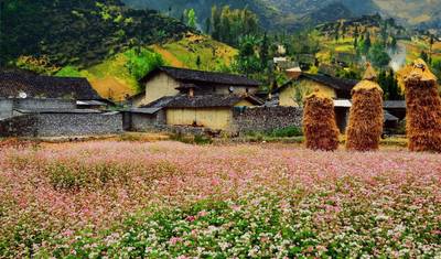 Ha Giang Loop Tour 5Day/4Night by Car/Jeep/Motobike ( Dept Everning) — 5