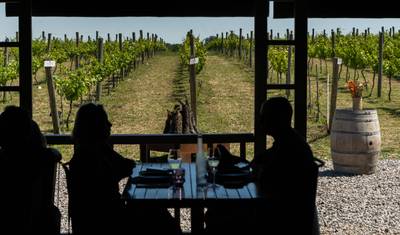 Food & Wine Escape: 7 Days in Buenos Aires & Mendoza — 5