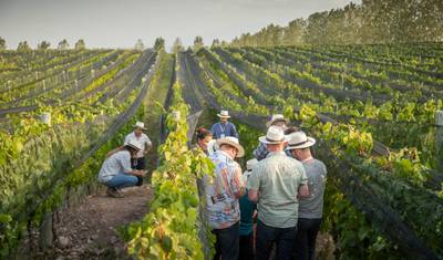 Food & Wine Escape: 7 Days in Buenos Aires & Mendoza — 2