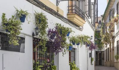 14 days- Lisbon, Coimbra, Evora, Oporto, Andalucia & Madrid — 3