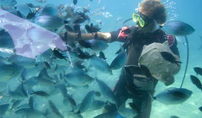 USA – Hawaii – Honolulu Oahu Island Adventure — 2