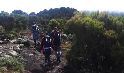 8 Days Lemosho Route — 3