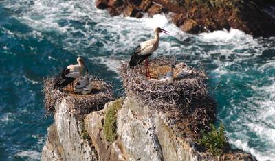 Costa Vicentina: Natural Park self-guided hike tour — 5