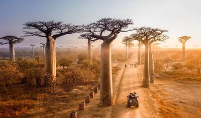Group Tours | 17 Days Madagascar in Depth — 2