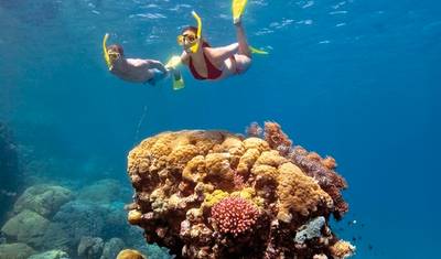 Sydney) Rock, Reef & Rail — 4