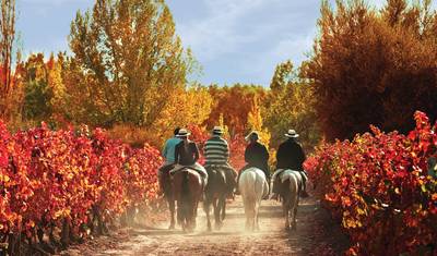 7 Dias de Aventuras na Natureza em Buenos Aires e Mendoza — 3