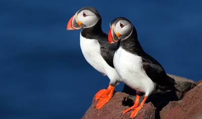 صيف آيسلندا وكسوف شمسي كلي - 6 أيام — 4