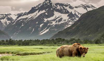 Hiking the Great Land of Alaska — 3