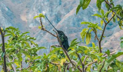 2 Day Inca Trail Experience – Small Group Adventure — 5
