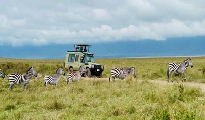 Experience Kenya & Tanzania Wildlife Safari — 2