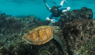 9 Days - Galapagos Multisport Luxury Experience — 4