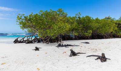 9 Days - Galapagos Multisport Luxury Experience — 5
