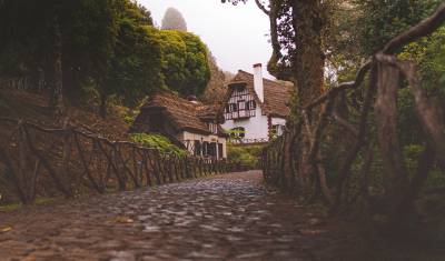 Madeira in 8 Days: A Scenic Road Trip — 3
